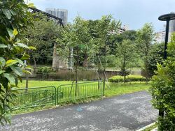 Clementi Park (D21), Detached #497907551